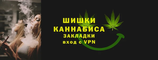 индика Дмитриев