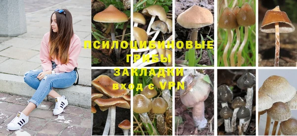 MDMA Premium VHQ Новозыбков