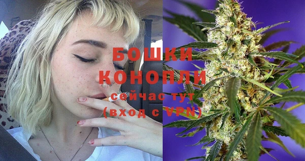 ГАЛЛЮЦИНОГЕННЫЕ ГРИБЫ Нефтекумск