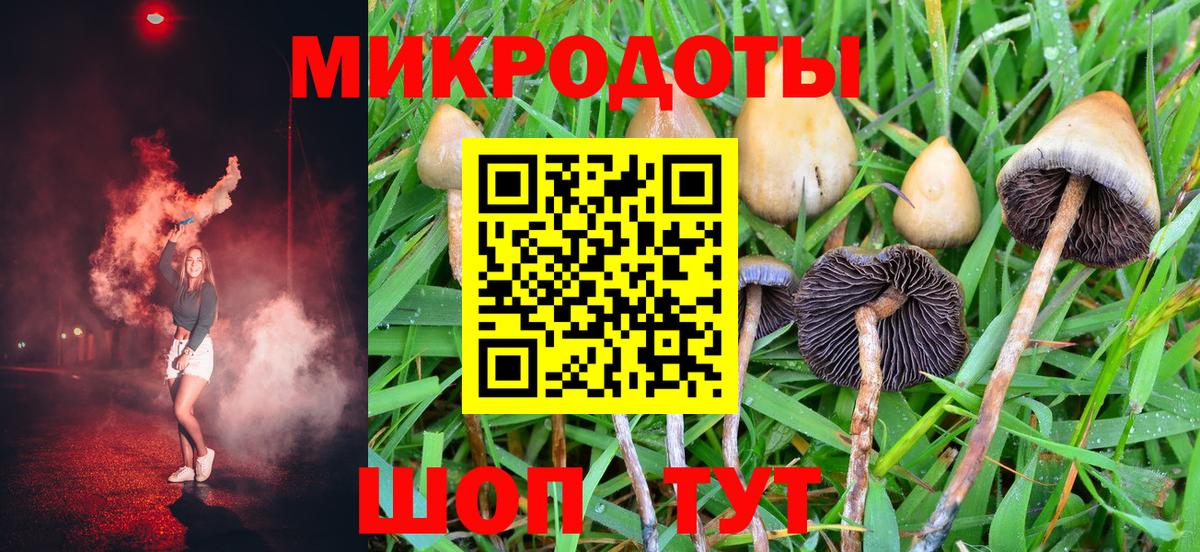 Псилоцибиновые грибы мухоморы  Вход с VPN  Лабинск  Псилоцибиновые грибы Psilocybine cubensis 
